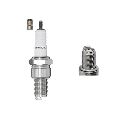 Plwg gwreichionen nicel r4118s -8 3236
